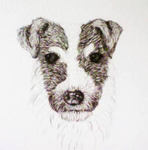 10614032_530794787066675_723432876_n